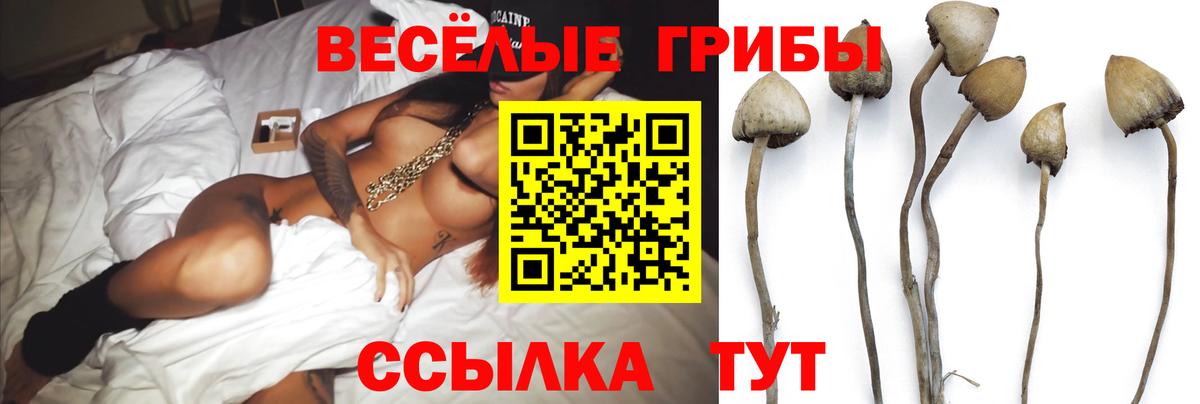 Псилоцибиновые грибы мухоморы Кировск