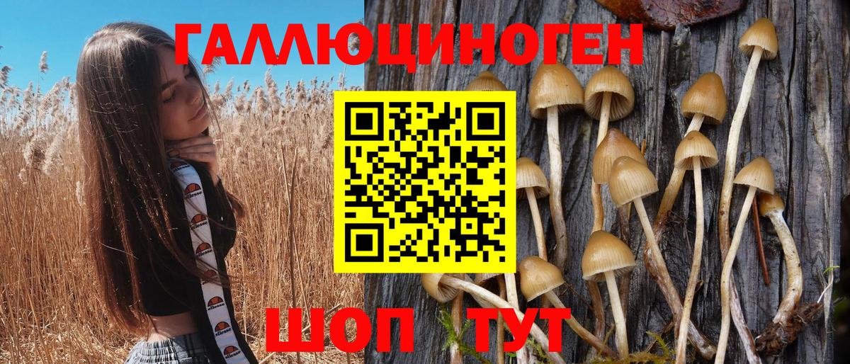 Галлюциногенные грибы GOLDEN TEACHER  Псилоцибиновые грибы мухоморы  Вход с VPN  купить наркоту  Кировск 